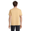 s03981-df-back