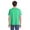 s03981-eo-back