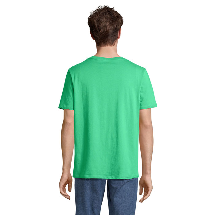s03981-eo-back