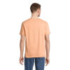 s03981-ph-back