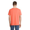 s03981-po-back