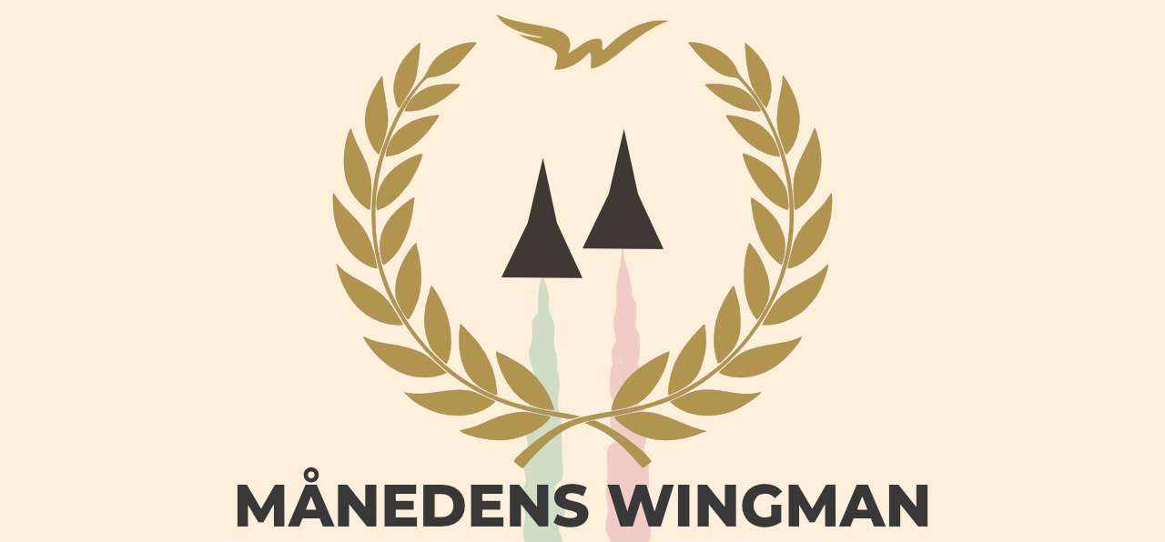 mdr_wingman_hero
